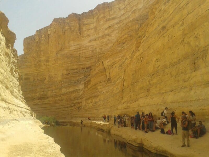 Ein Ovdat, wadi in the Negev desert.