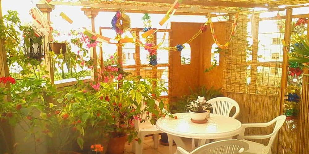 Building a Succah: Made by the artist at his home. this Succah made from IKEA parts, photographed in sunlight after rain.